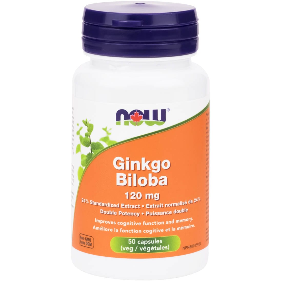 NOW Ginkgo Biloba, 120mg