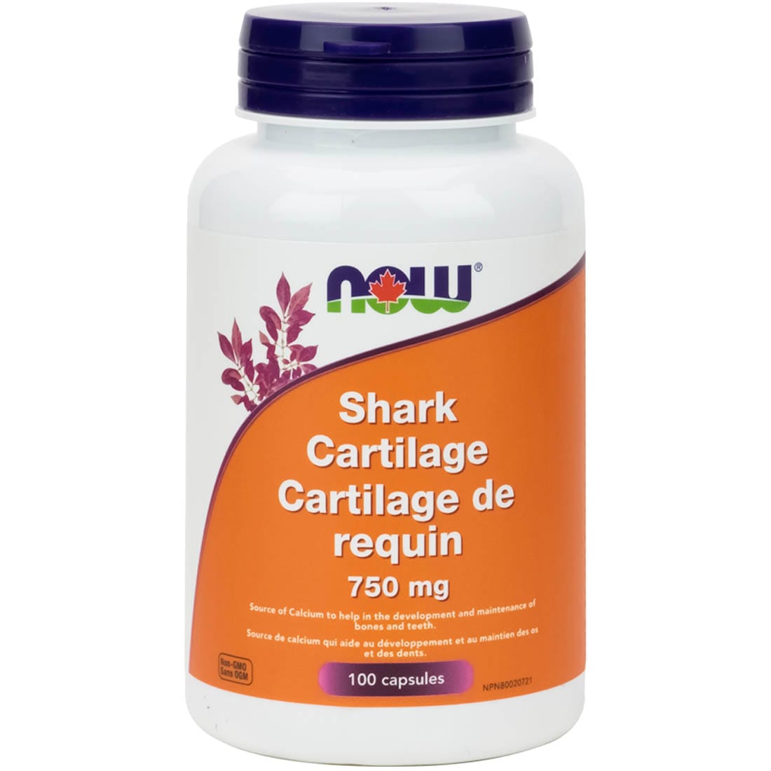 NOW Shark Cartilage, 750mg