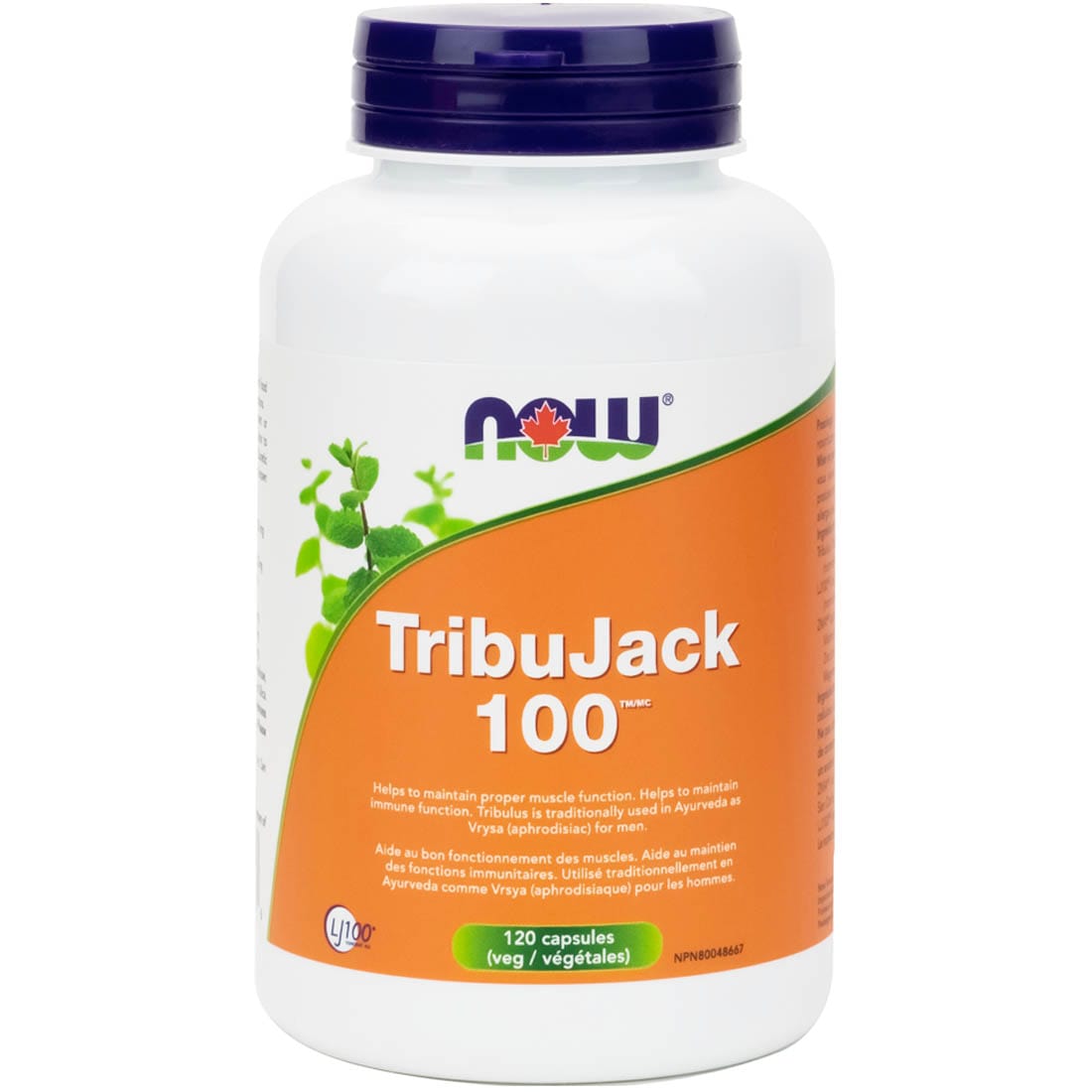 NOW TribuJack 100 with Longjack & ZMA (Male Performance Formula)