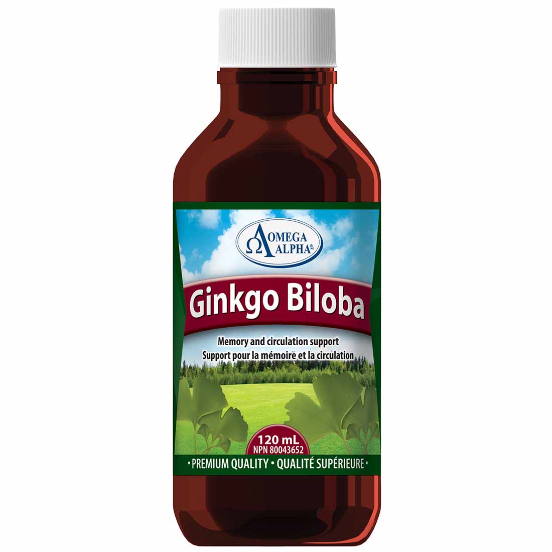 Omega Alpha Ginkgo Biloba Liquid Extract, Standardized 24% Flavonoid glycosides, 6% Terpene lactones, 120ml