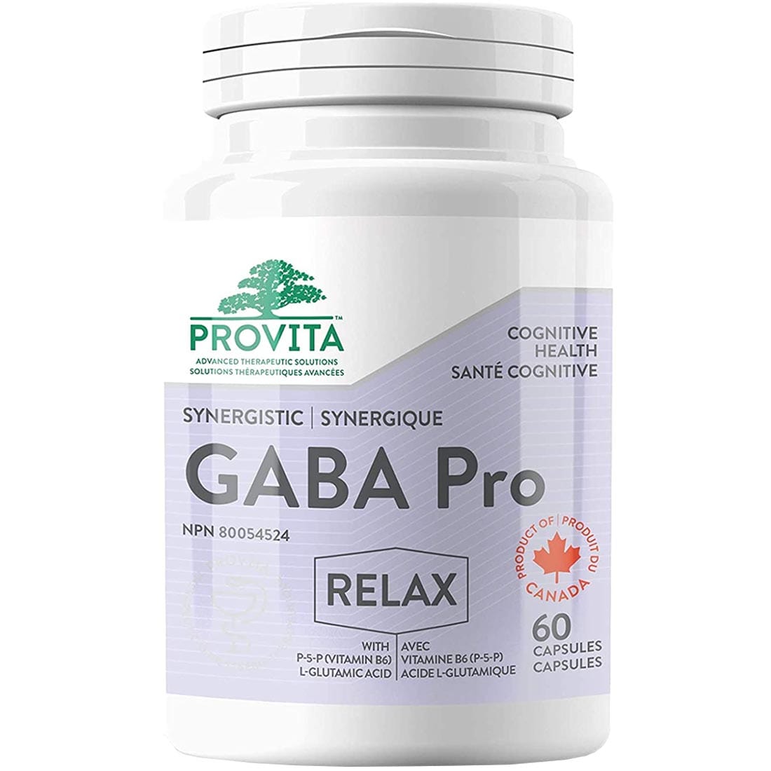 Provita Synergistic GABA Pro 500mg with B6, 60 Capsules