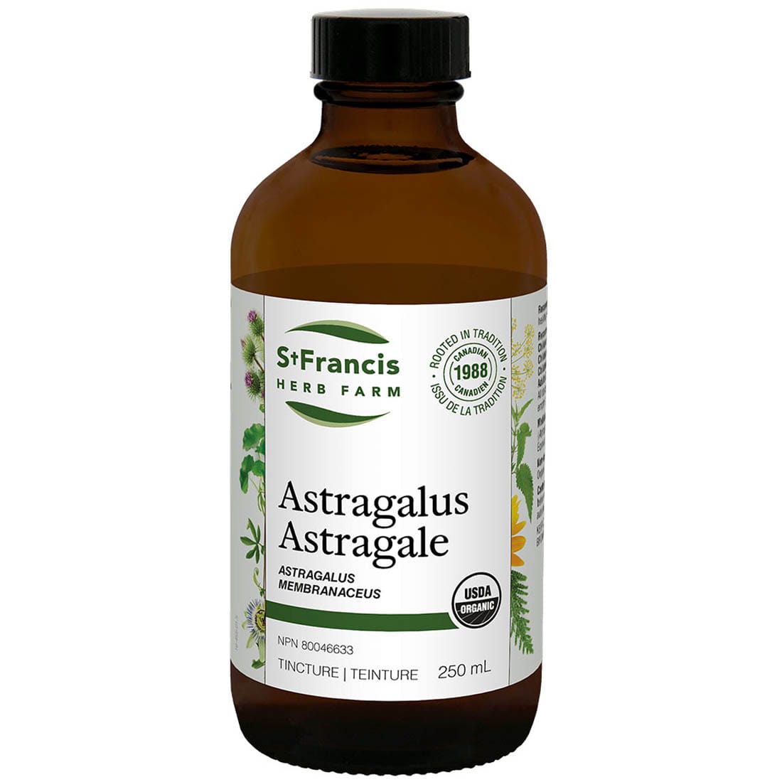 St. Francis Astragalus Liquid, Supports Healthy Immune System