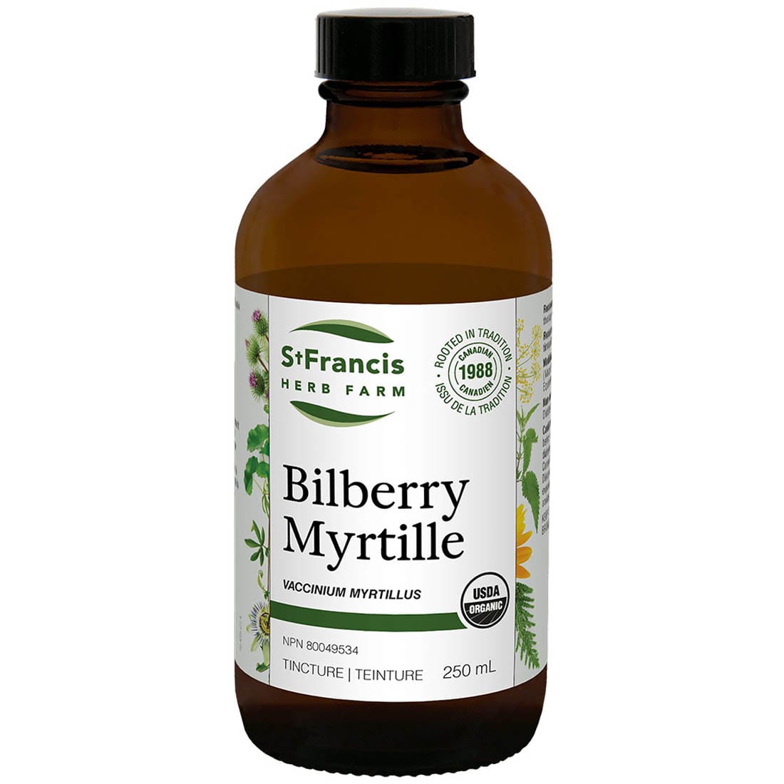 St. Francis Bilberry Leaf & Berry, Liquid Bilberry, Improves vision, Treats degenerative retinal conditions, varicose veins, atherosclerosis, venous insufficiency, hemorrhoids