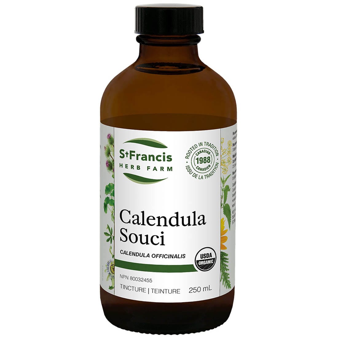 St. Francis Calendula