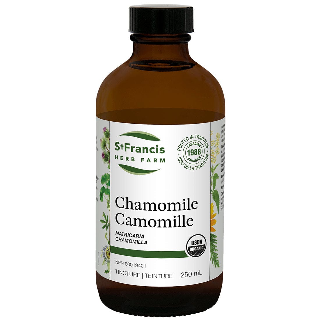 St. Francis Chamomile