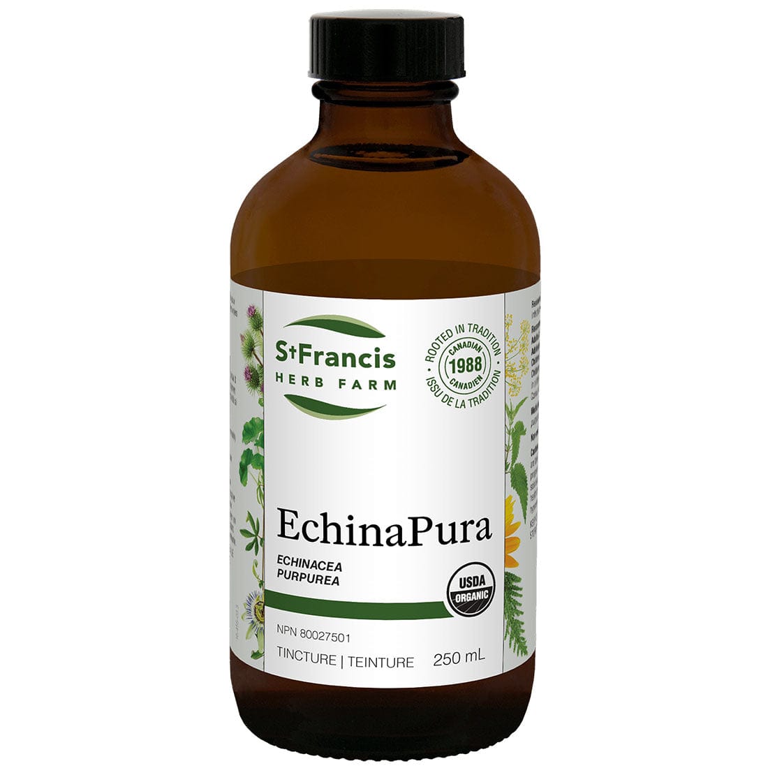 St. Francis EchinaPura (Echinacea Purpurea Flower, Leaf and Root)