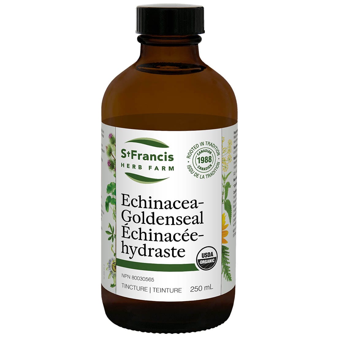 St. Francis Echinacea Goldenseal Liquid
