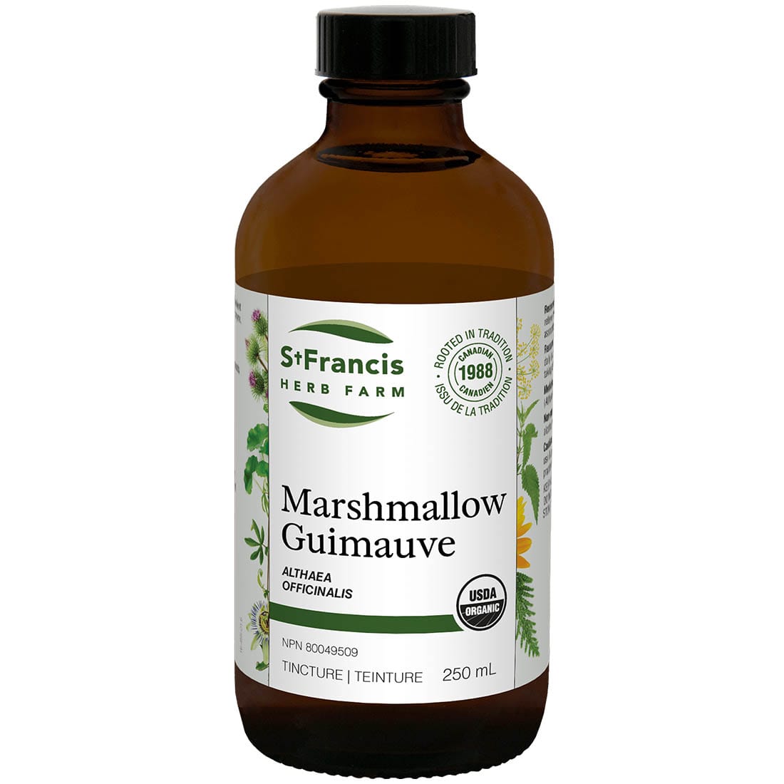 St. Francis Marshmallow