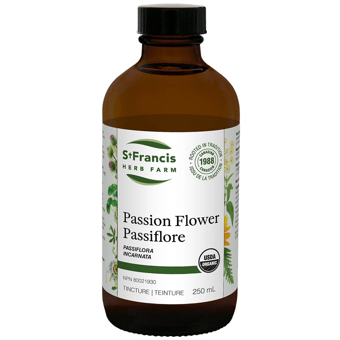 St. Francis Passion Flower