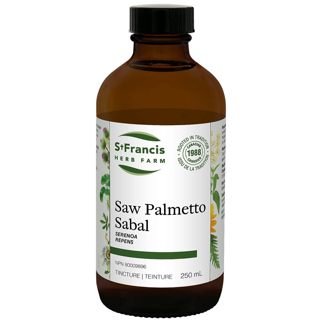 St. Francis Saw Palmetto