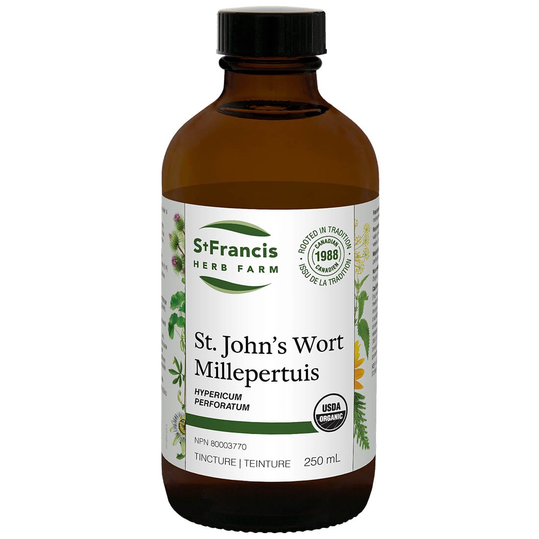 St. Francis St. John's Wort Tincture