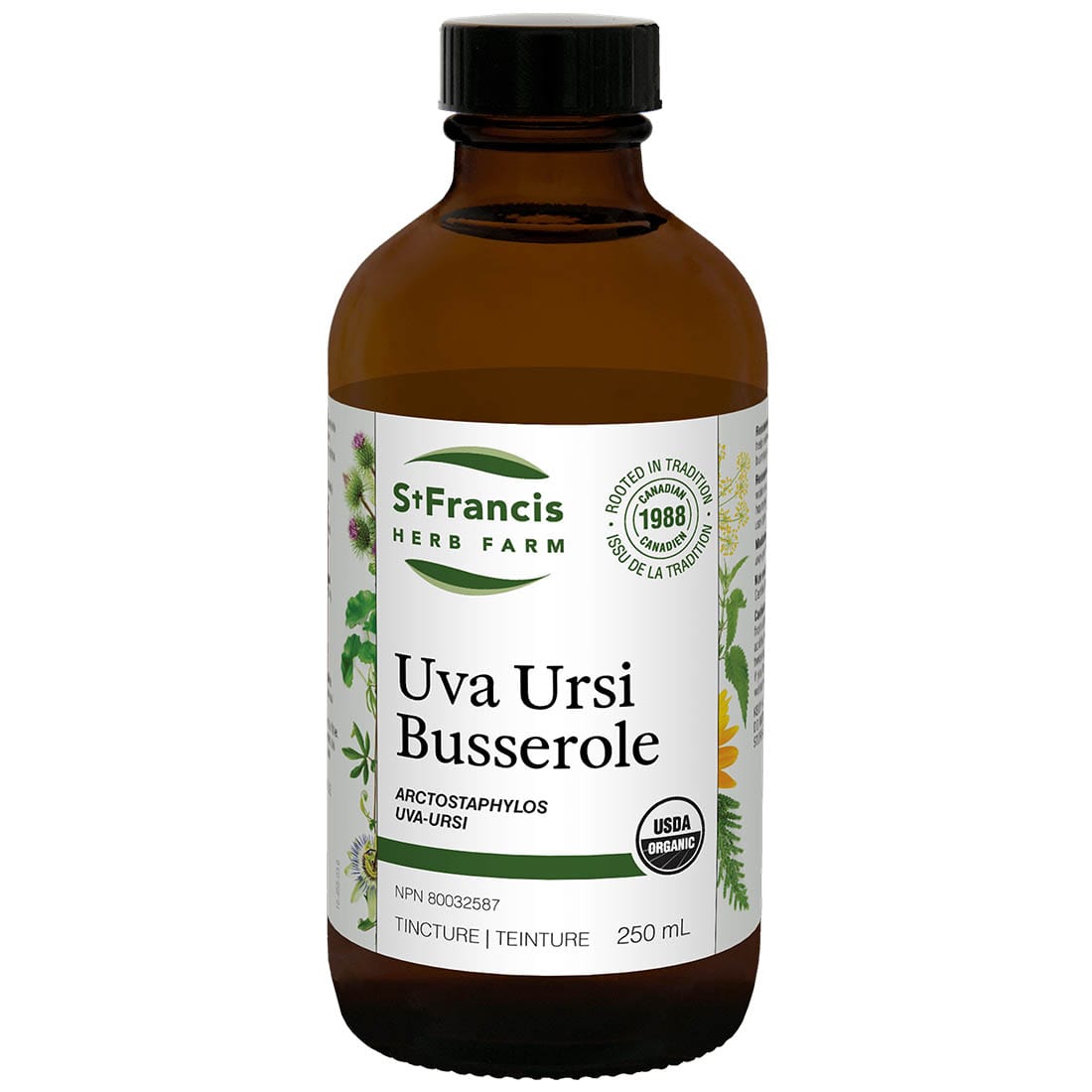 St. Francis Uva Ursi