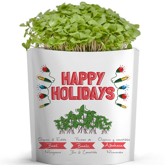 Gift A Green Greeting Cards, Happy Holidays Card, Basil Microgreens