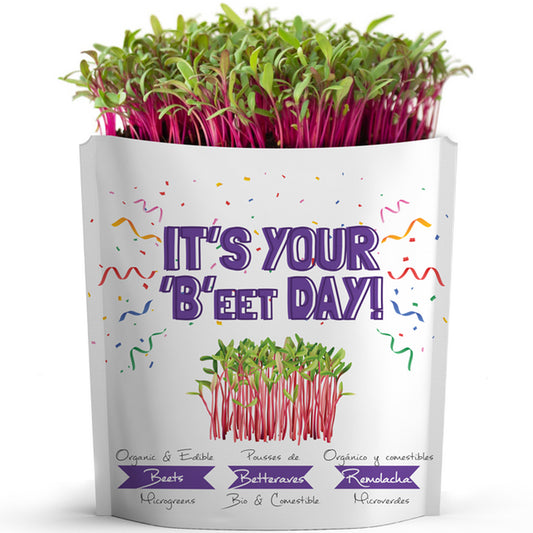 Gift A Green Greeting Cards, It's Your Beet Day Card, Beet Microgreens