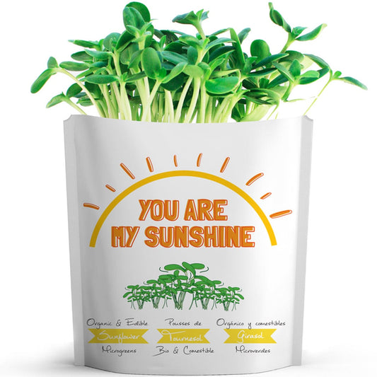 Gift A Green Greeting Cards, You Are My Sunshine Card, Sunflower Microgreens