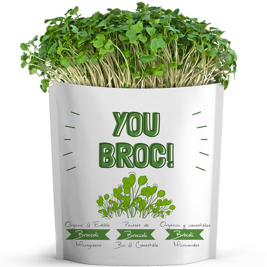 Gift A Green Greeting Cards, "You Broc" Card, Broccoli Microgreens
