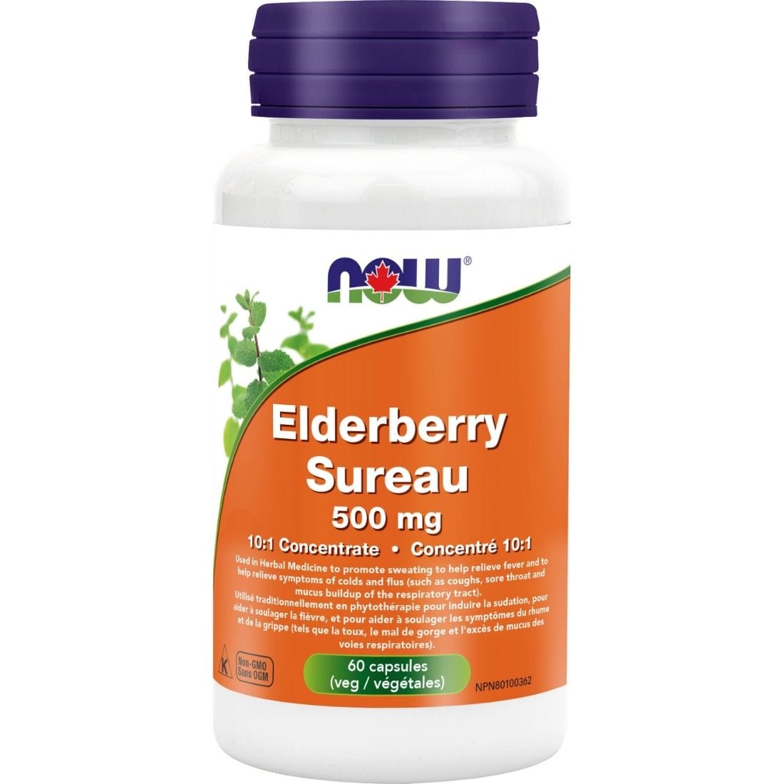 Now Elderberry 10:1 Fruit Concentrate 500 mg, 60 Capsules