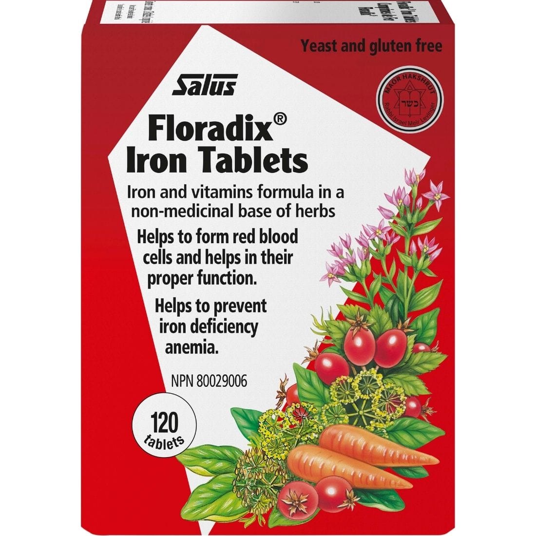 Salus Floradix Iron Tablets, Helps Prevent Iron Deficiency, Non-constipating, High Absorption