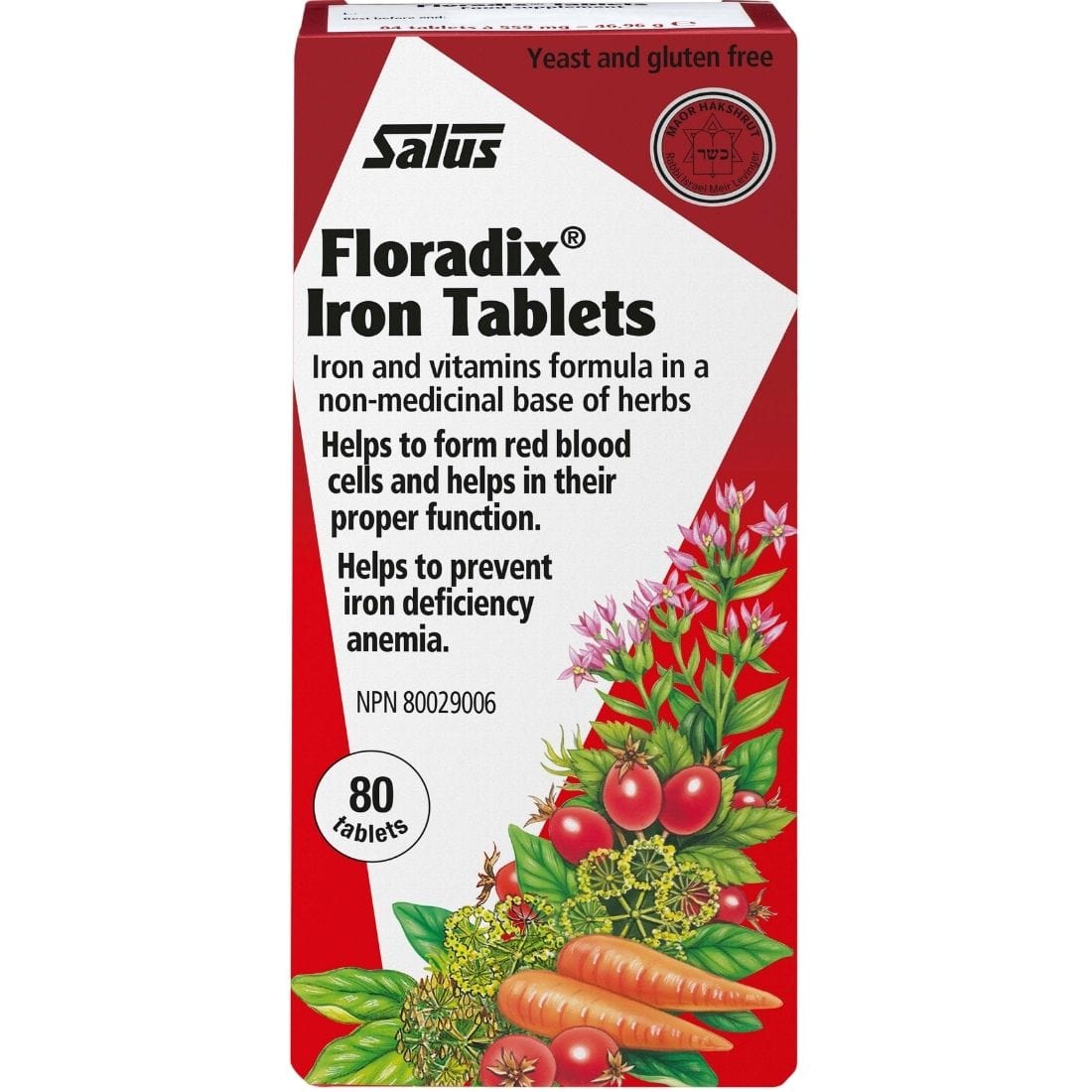 Salus Floradix Iron Tablets, Helps Prevent Iron Deficiency, Non-constipating, High Absorption