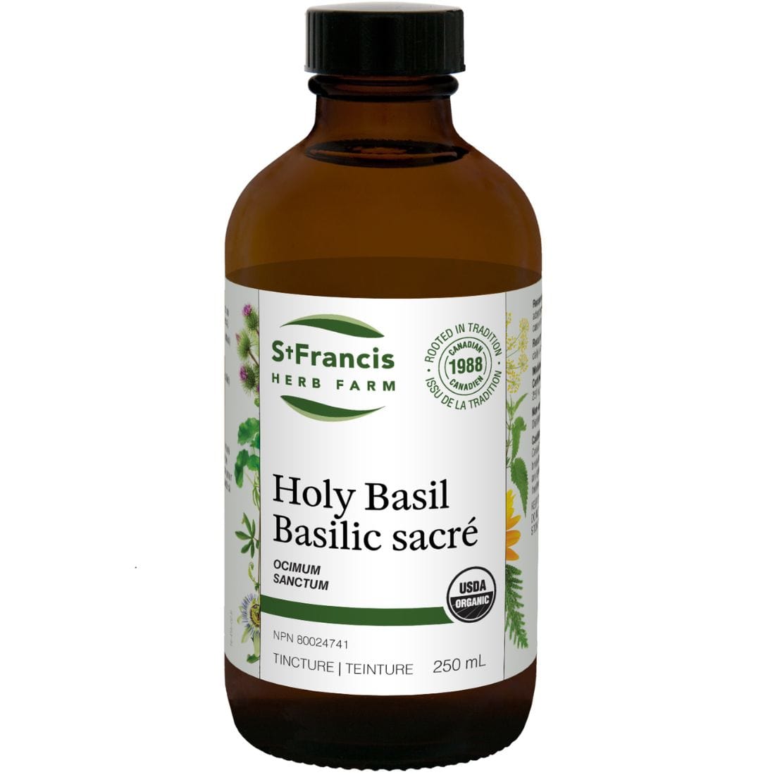 St. Francis Holy Basil