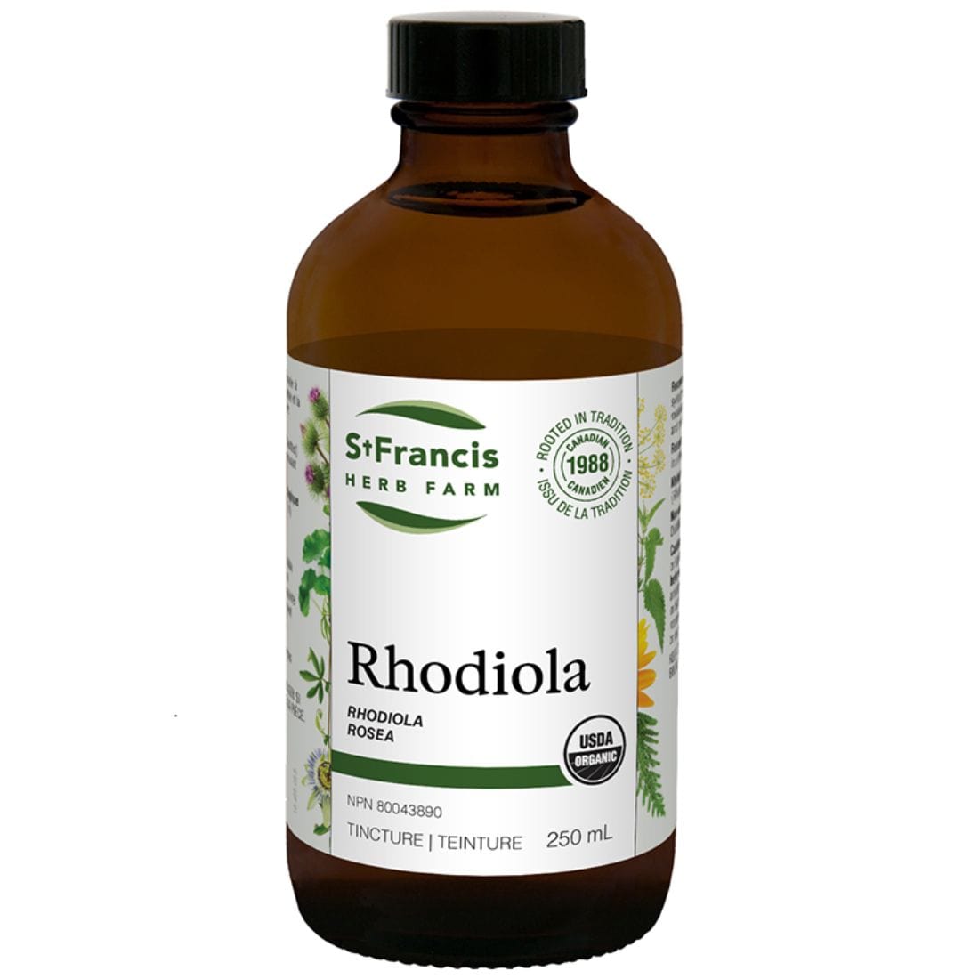 St. Francis Rhodiola Liquid Tincture