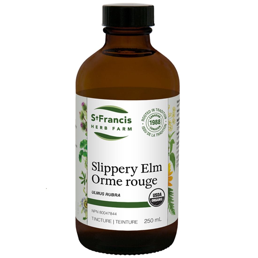 St. Francis Slippery Elm