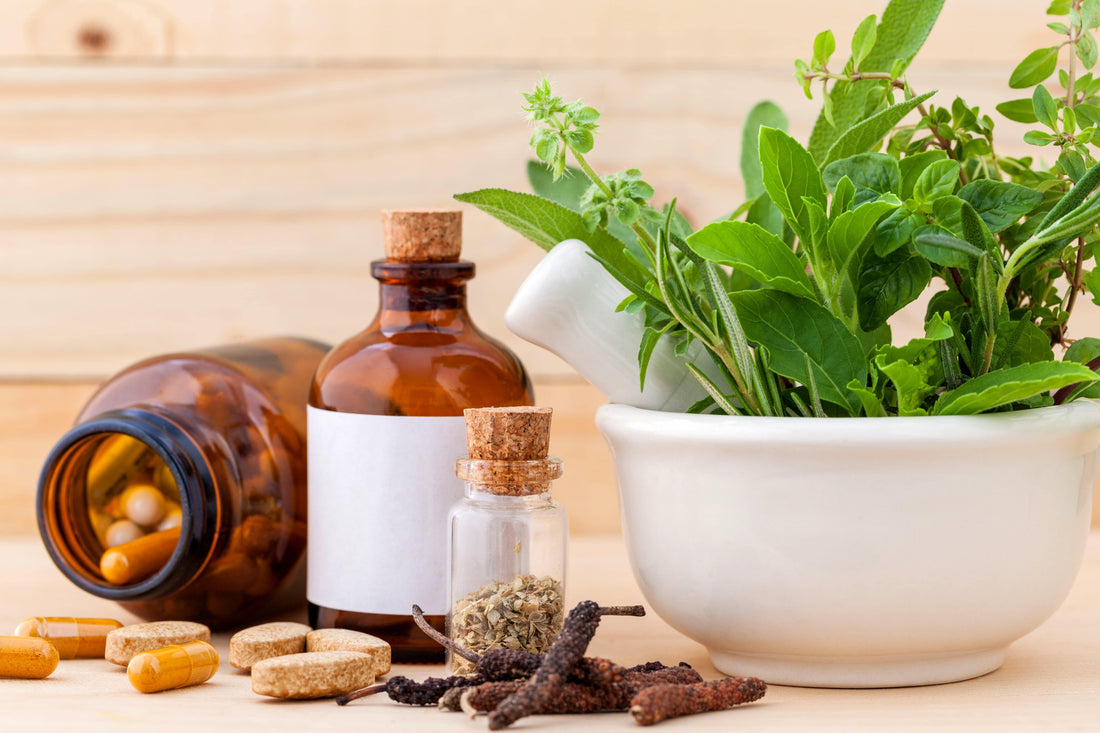 5 Best Herbs for Boosting Your Immune System