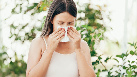 Top 6 Natural Allergy Remedies