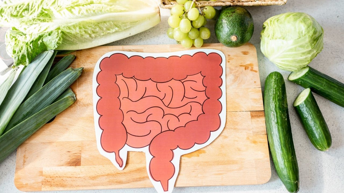 How Probiotics Help Both Gut and Brain Health