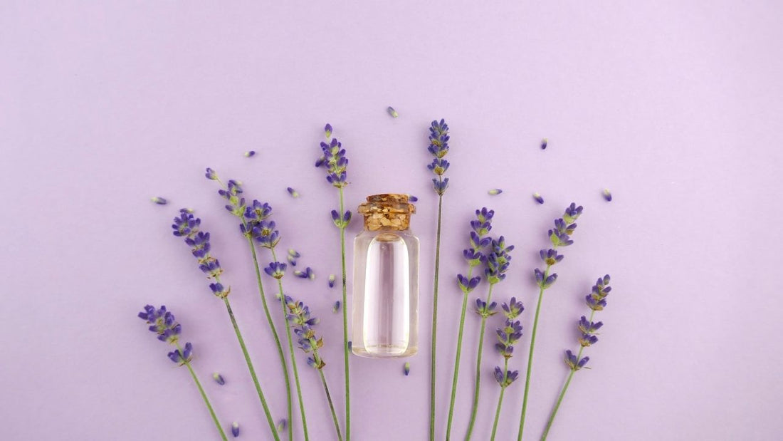 Top 5 Reasons to Keep Lavender in Your Home