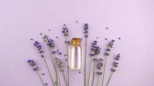 Top 5 Reasons to Keep Lavender in Your Home