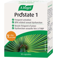 A. Vogel Prostate 1