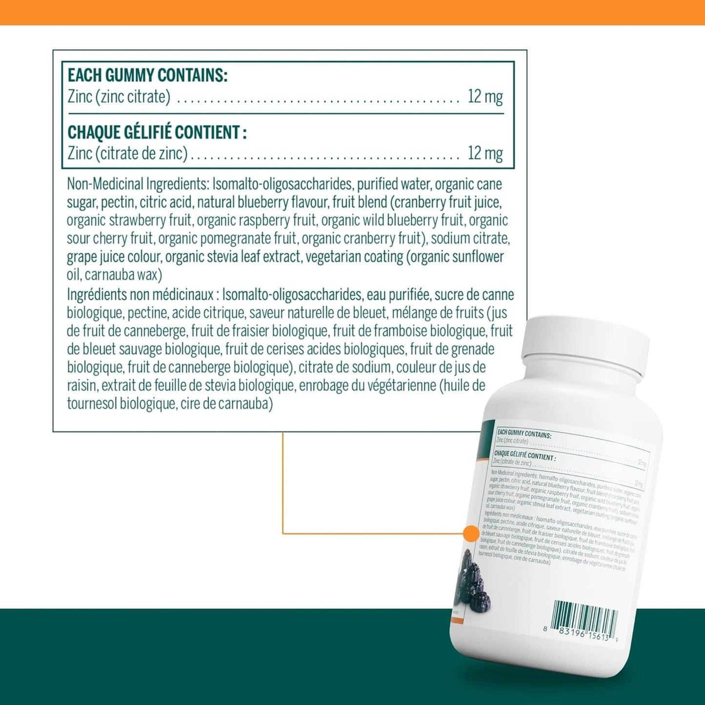 Natural Blueberry Flavour, 100 Gummies | Genestra Brands Zinc Gummies