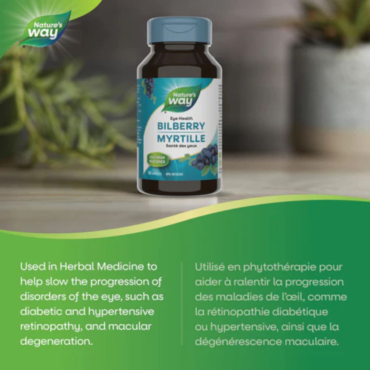 60 Vegetarian Capsules | Nature's Way Bilberry, Standardized Extract