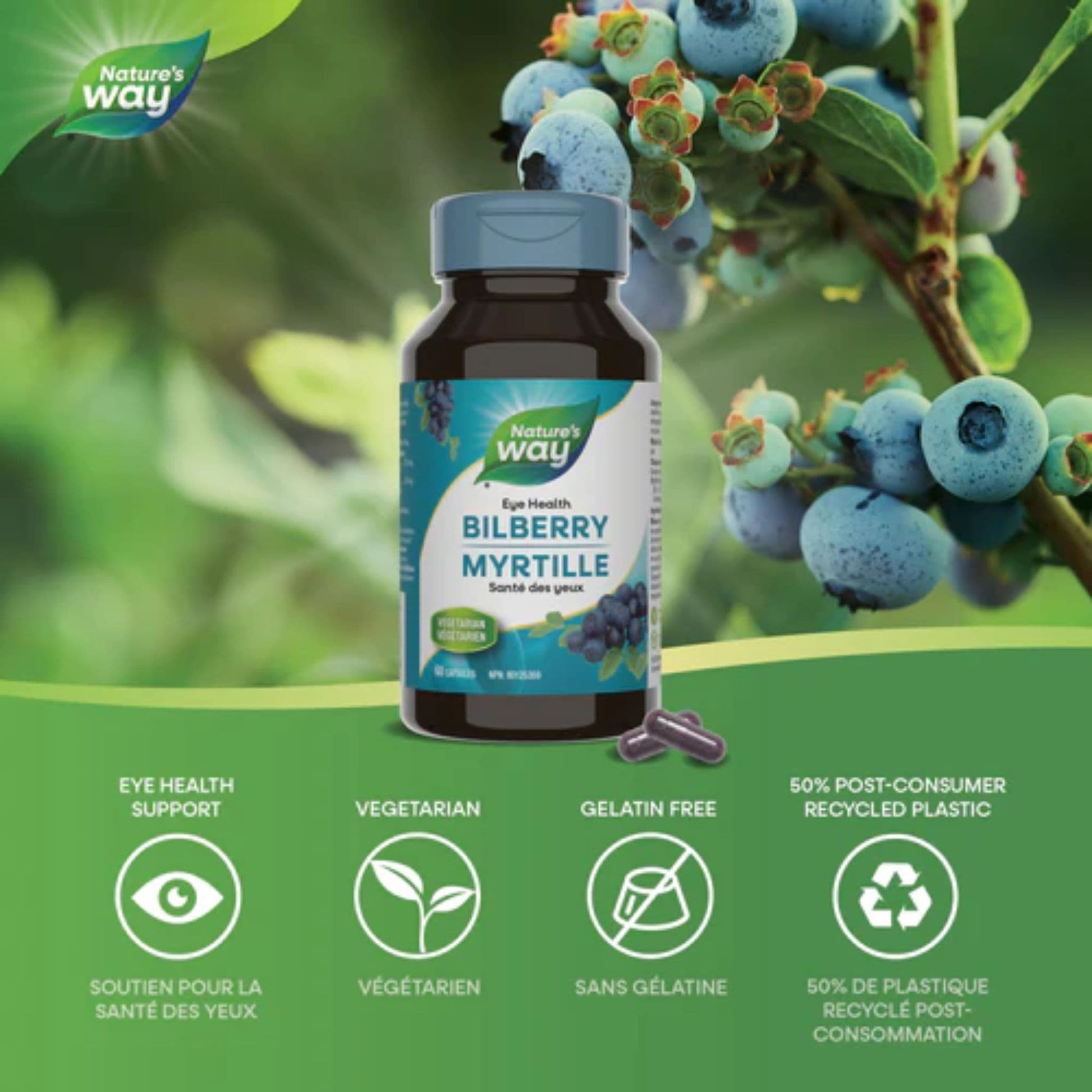 60 Vegetarian Capsules | Nature's Way Bilberry, Standardized Extract