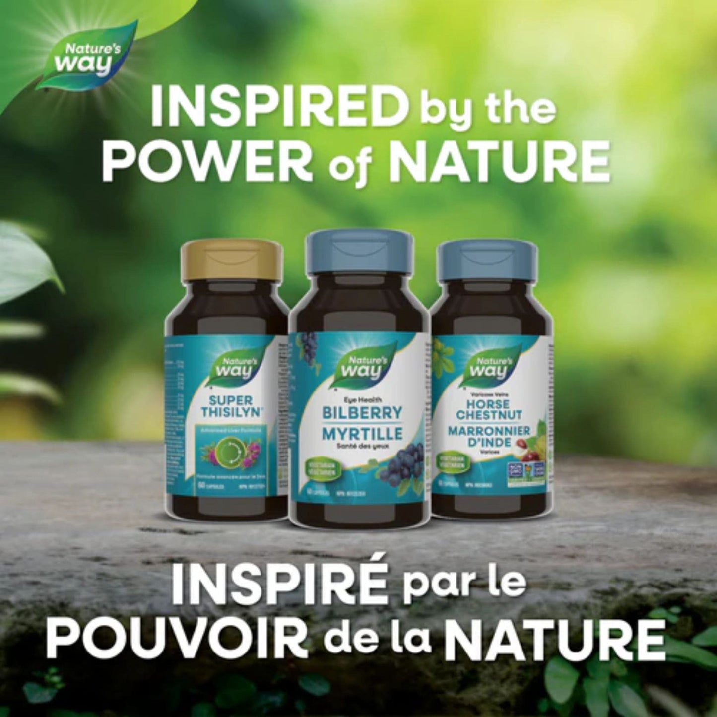 60 Vegetarian Capsules | Nature's Way Bilberry, Standardized Extract