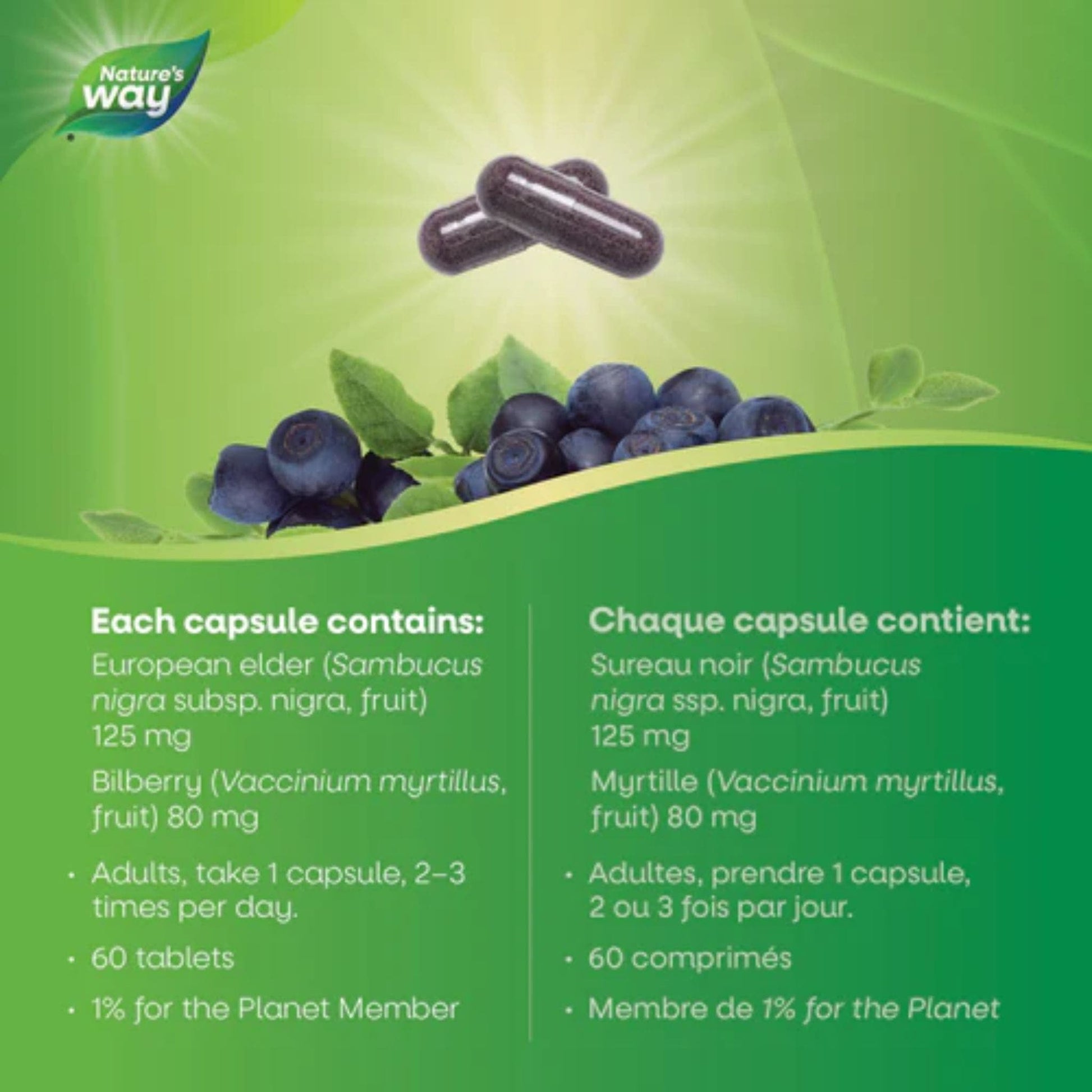 60 Vegetarian Capsules | Nature's Way Bilberry, Standardized Extract