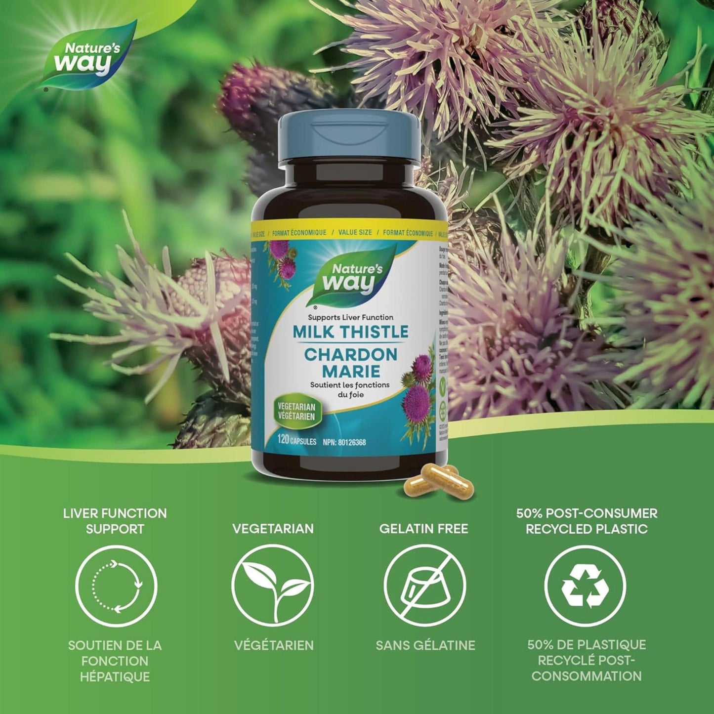 120 Vegetable Capsules | Nature's Way Milk Thistle Standardized Extract