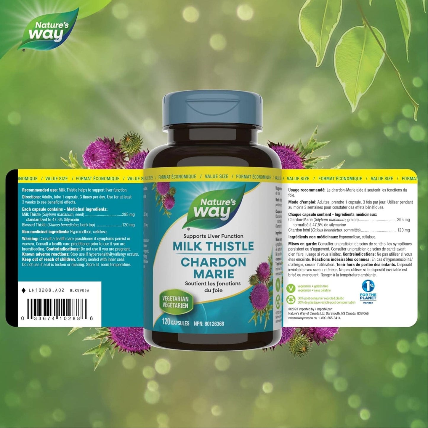 120 Vegetable Capsules | Nature's Way Milk Thistle Standardized Extract