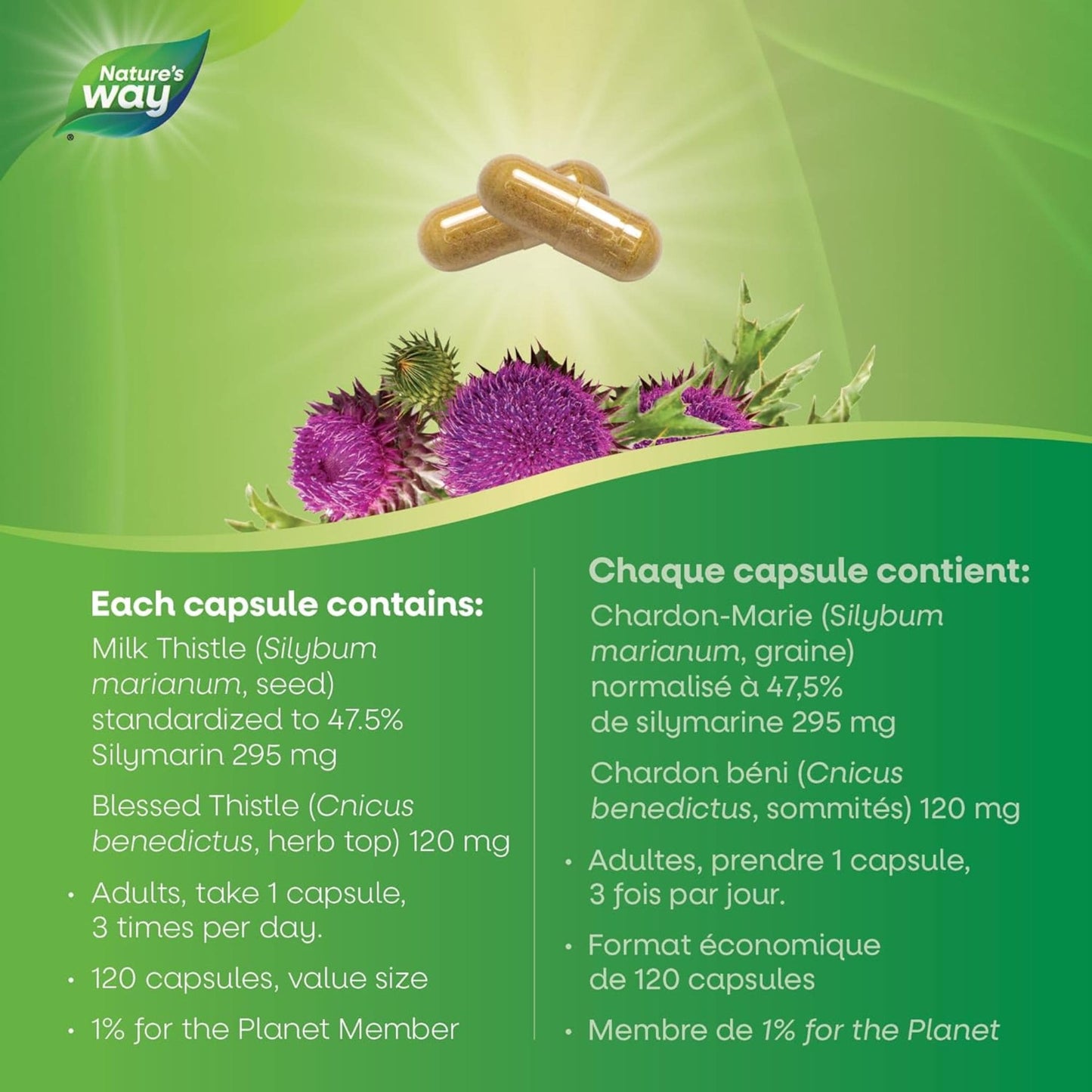 120 Vegetable Capsules | Nature's Way Milk Thistle Standardized Extract
