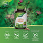 100 Vegetable Capsules | Nature's Way Burdock Root