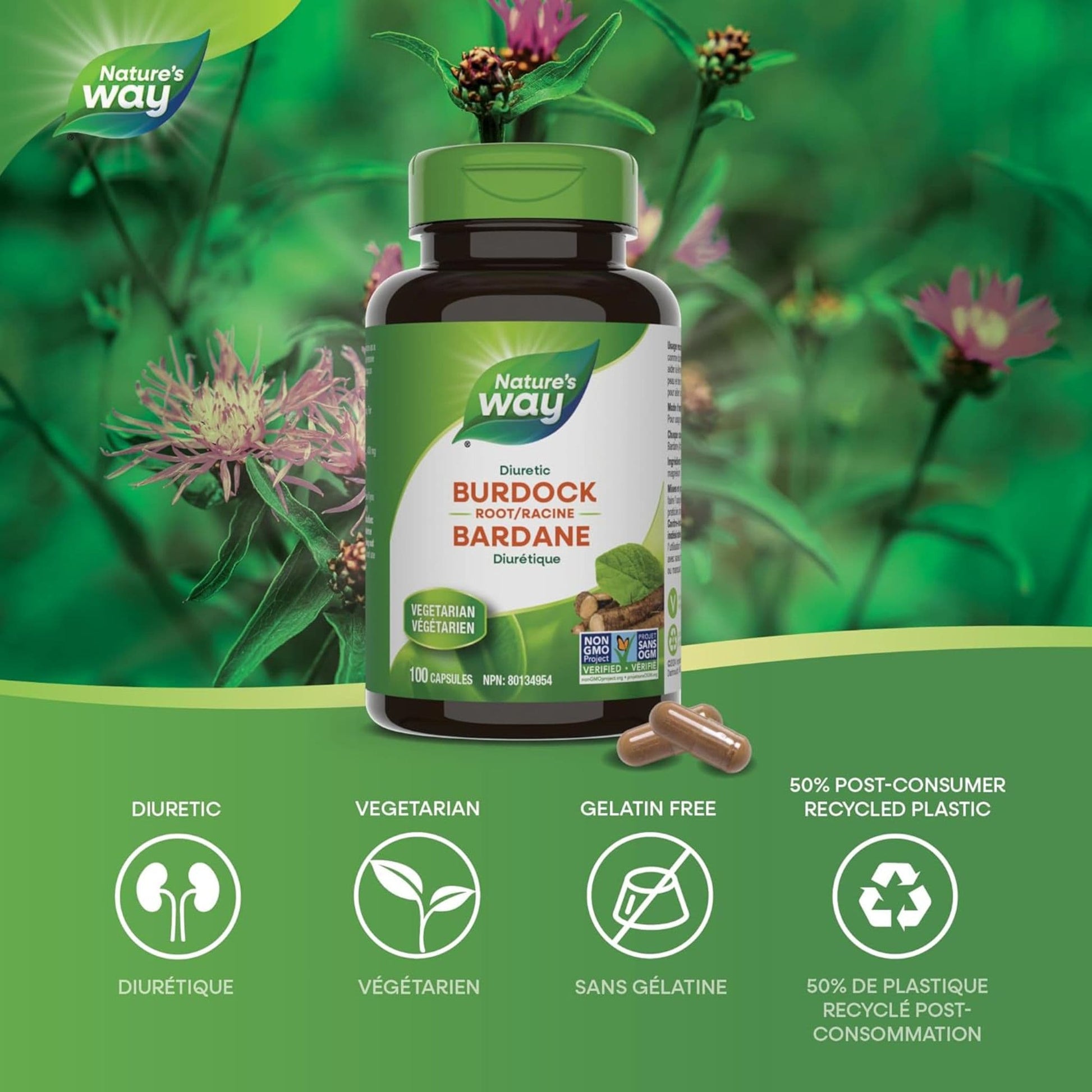 100 Vegetable Capsules | Nature's Way Burdock Root