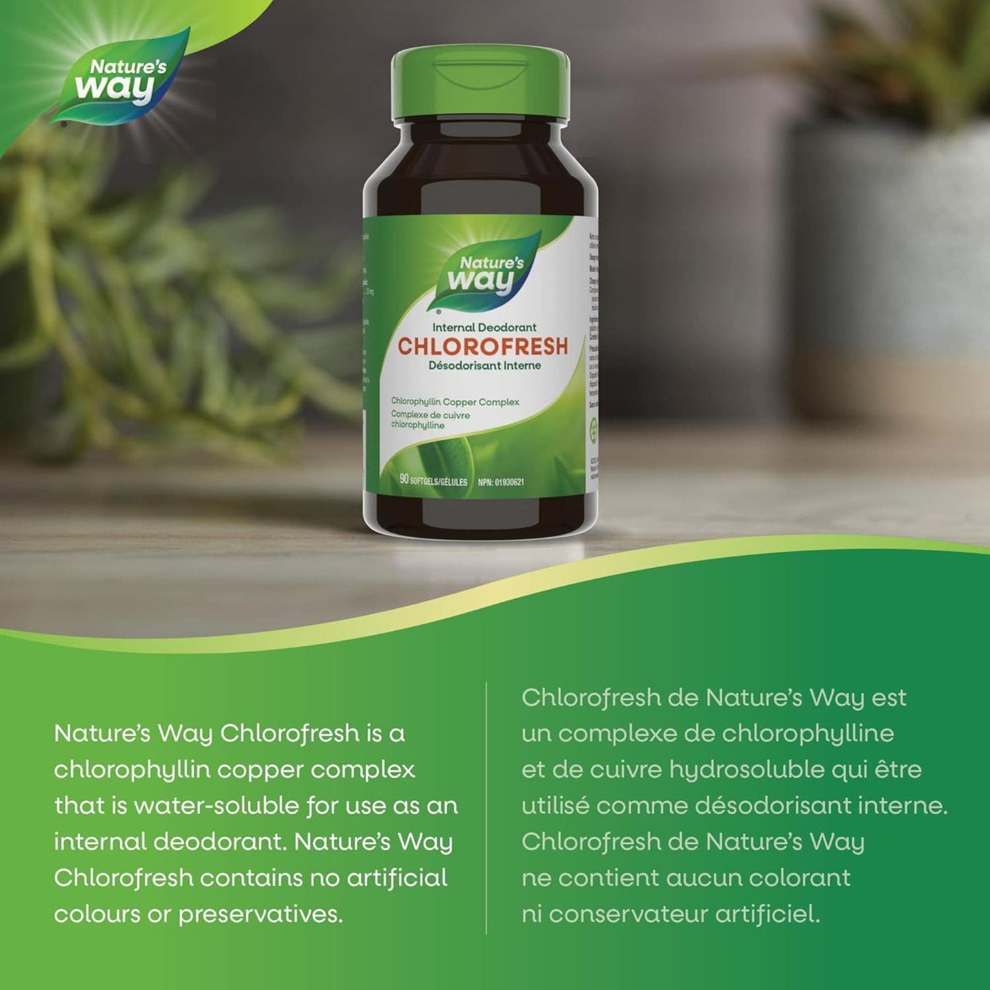 90 Softgels | Nature's Way Chlorofresh, Chlorophyllin Copper Complex