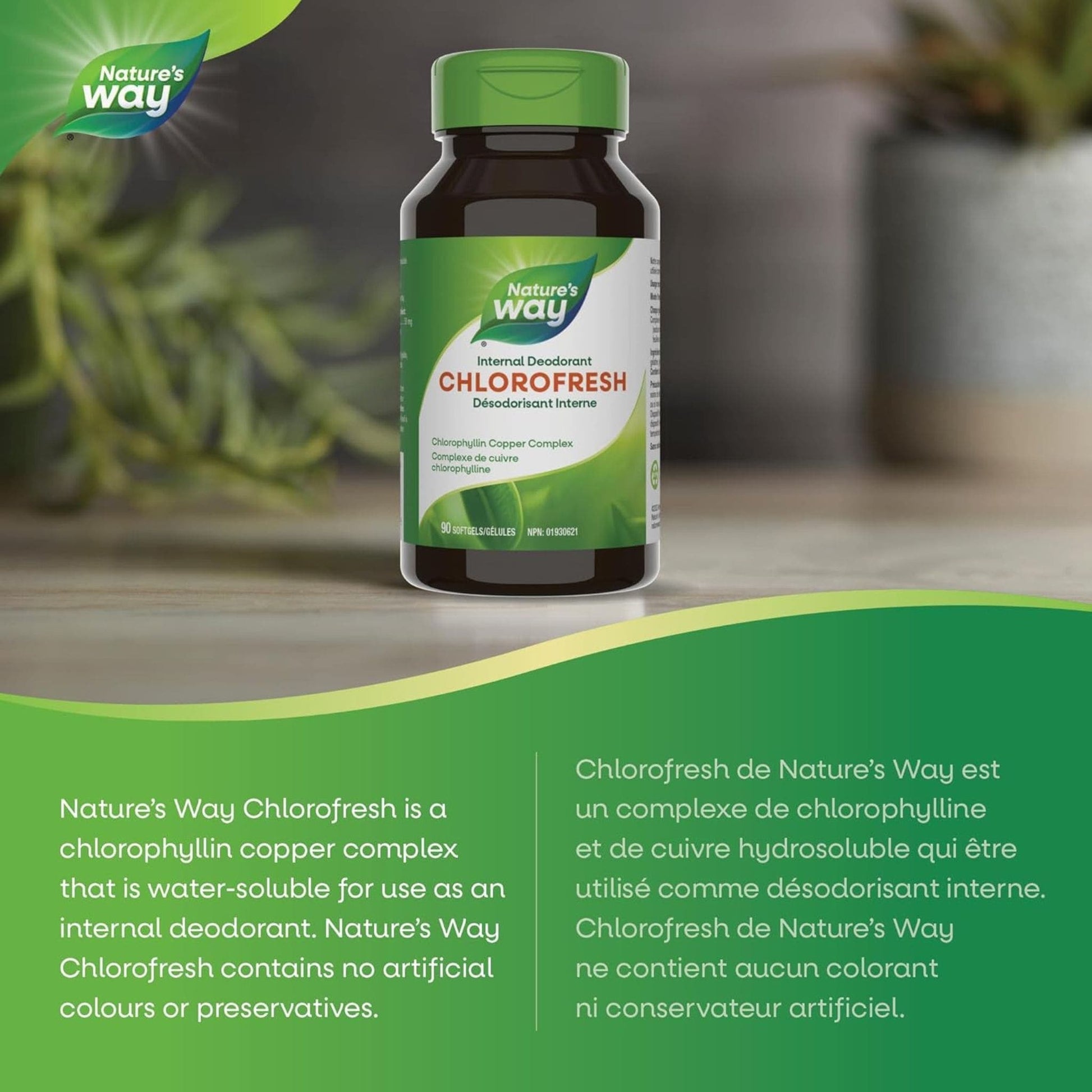 90 Softgels | Nature's Way Chlorofresh, Chlorophyllin Copper Complex