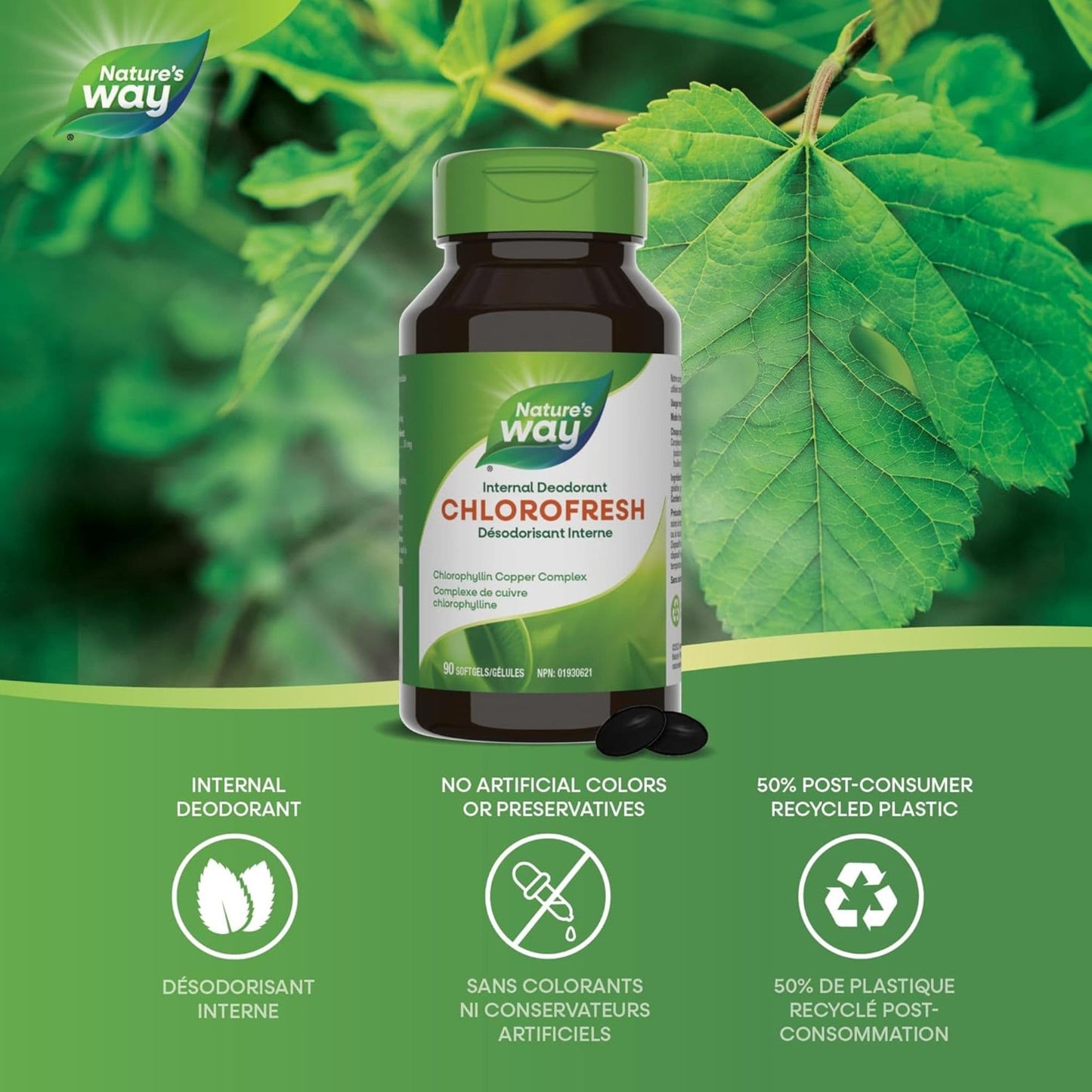 90 Softgels | Nature's Way Chlorofresh, Chlorophyllin Copper Complex