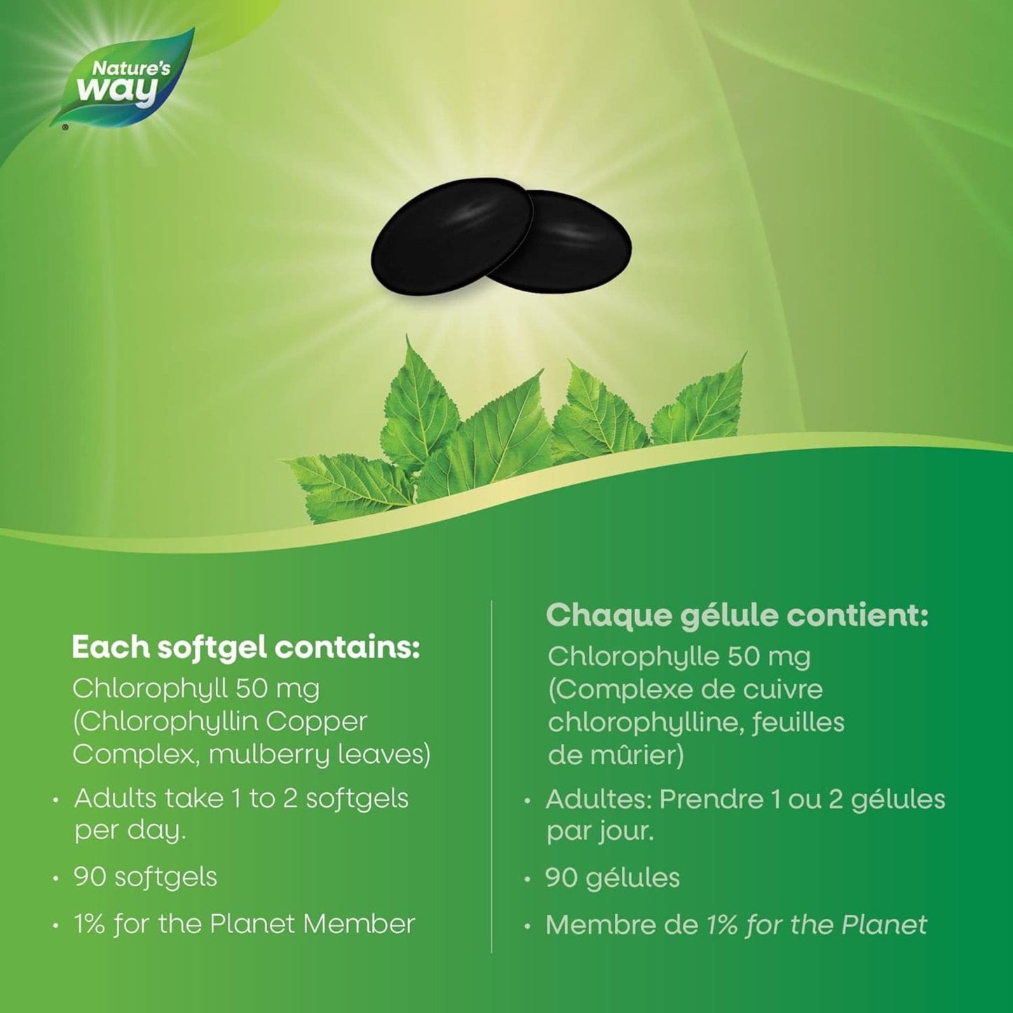 90 Softgels | Nature's Way Chlorofresh, Chlorophyllin Copper Complex