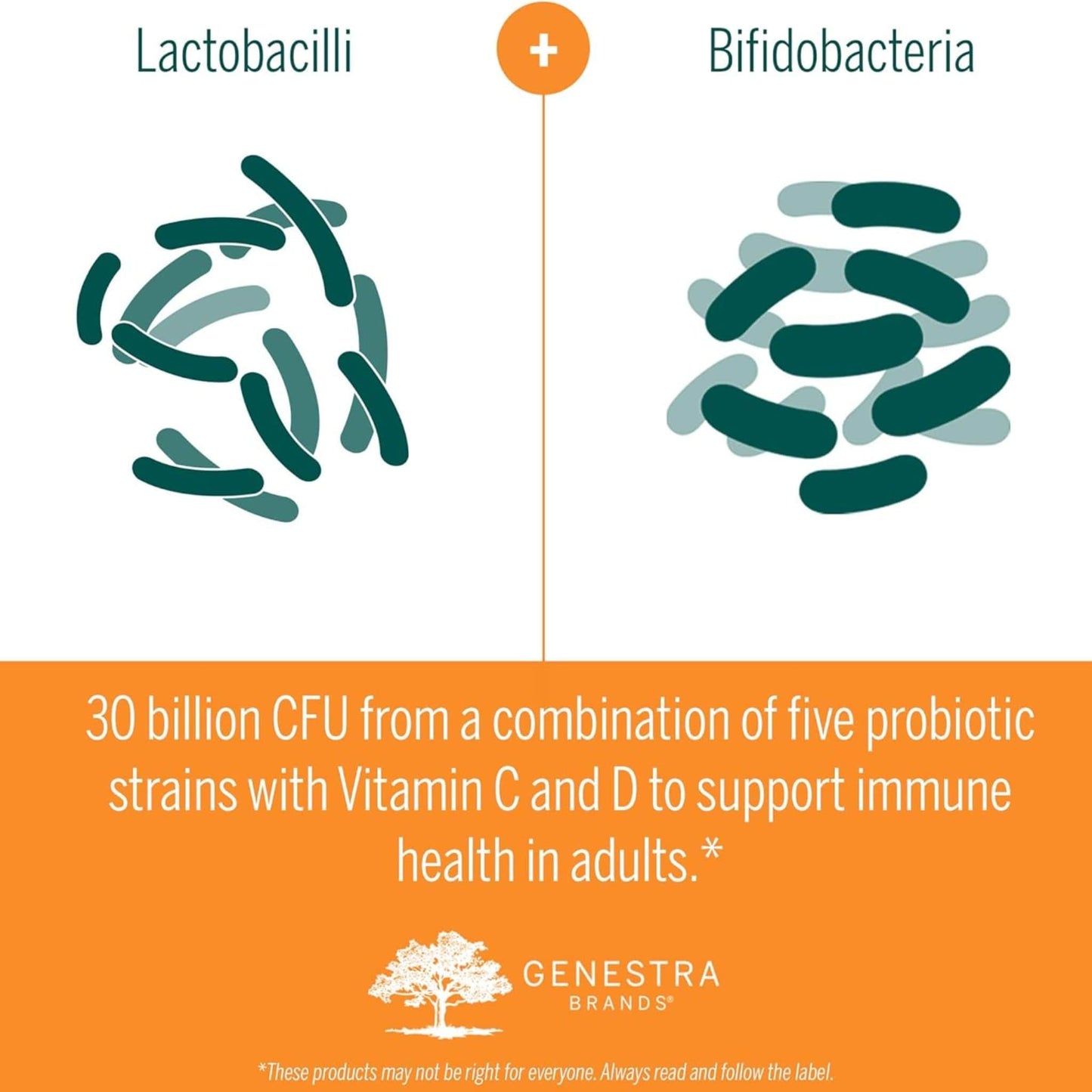 Natural Black Currant Flavour, 30 Chewable Tablets | Genestra Brands HMF Immune