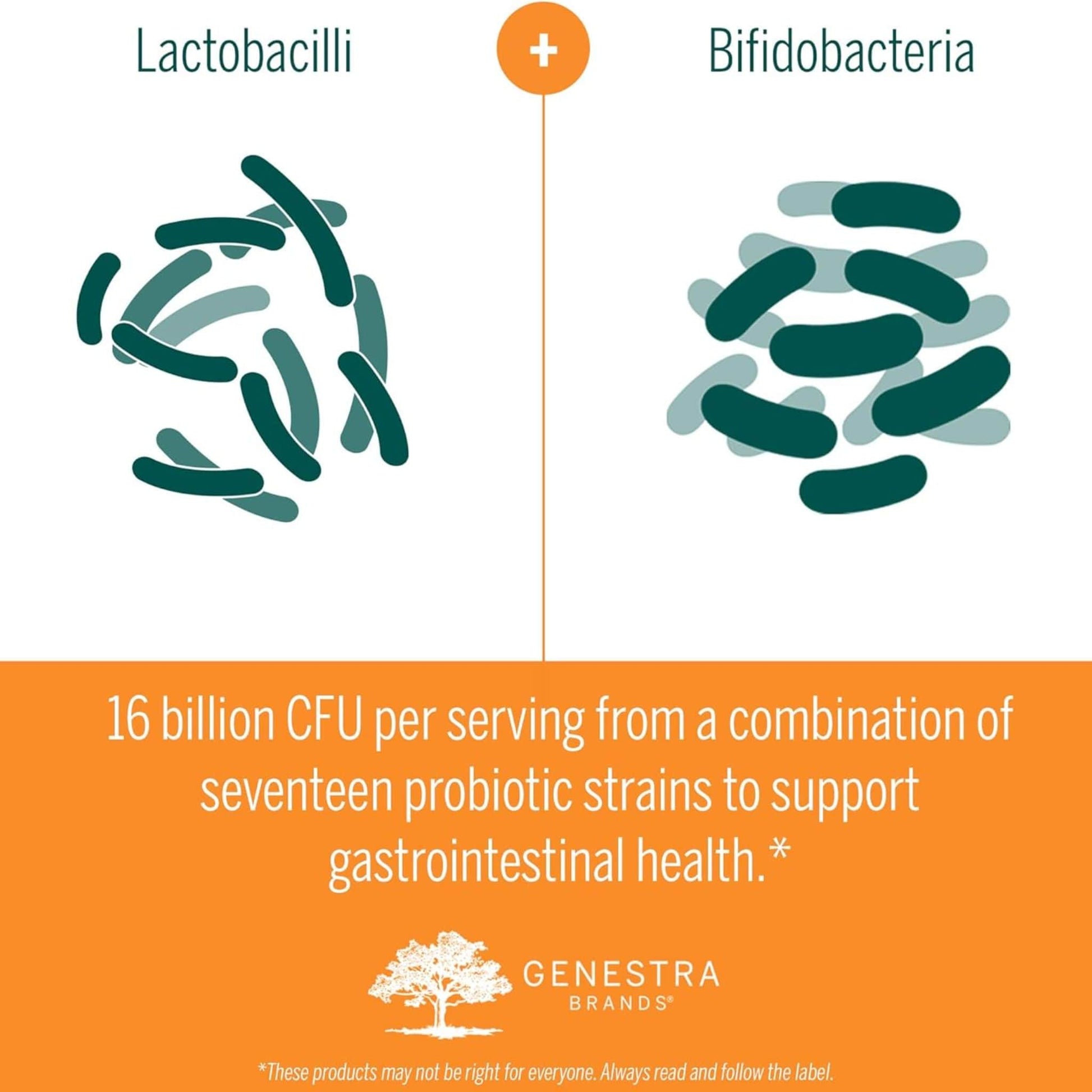 60g | Genestra Brands HMF Multi Strain Powder