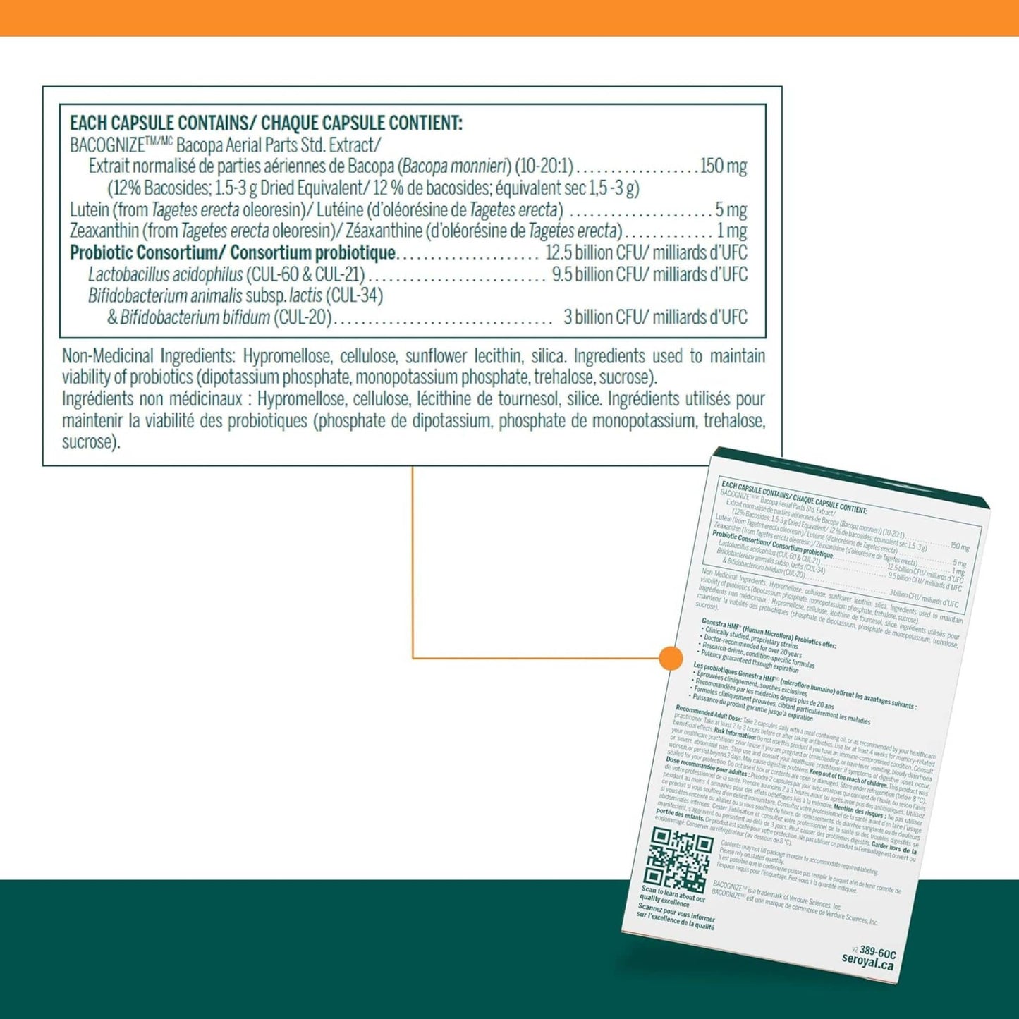 60 Vegetarian Capsules | Genestra Brands HMF Neuro Cognition