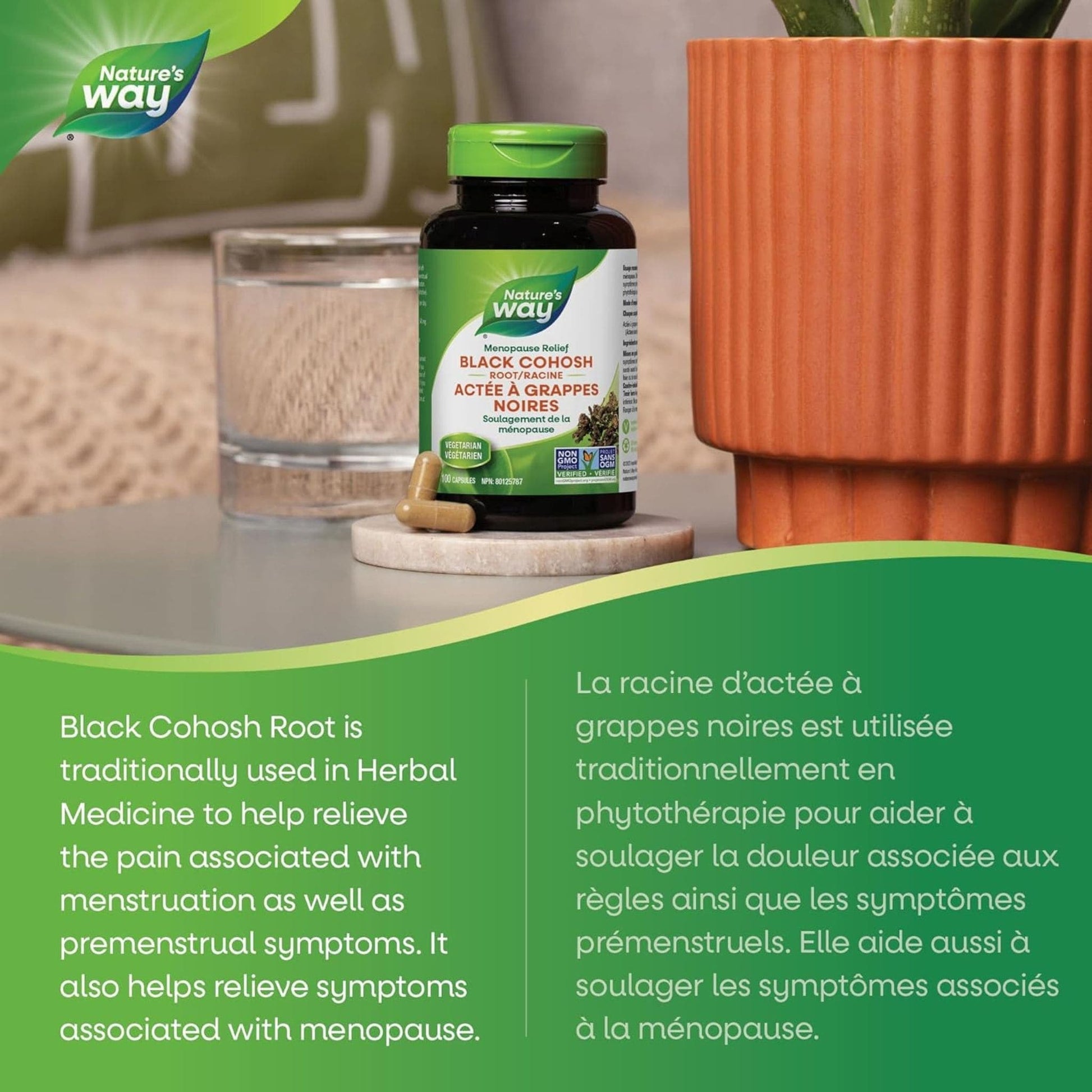 100 Vegetarian Capsules | Nature's Way Black Cohosh Root